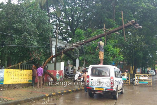 Tree fall